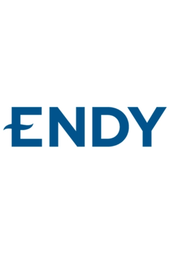 tfs-endy-logo